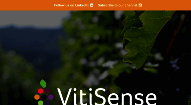 vitisense.com.au