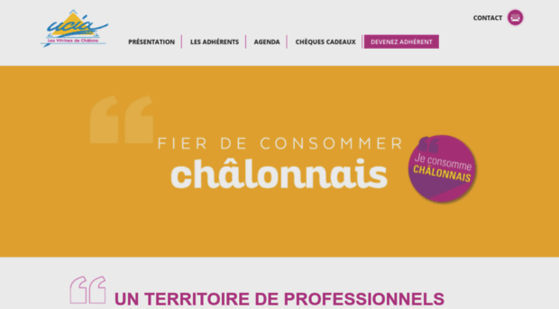 vitrinesdechalons.com