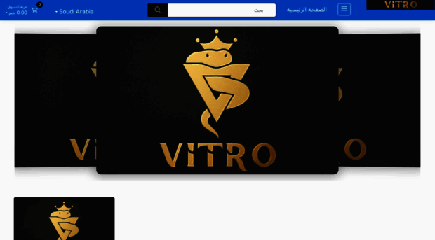 vitroshoes.net
