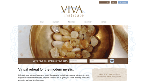 vivainstitute.com