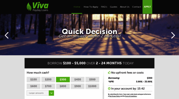 vivapaydayloans.com