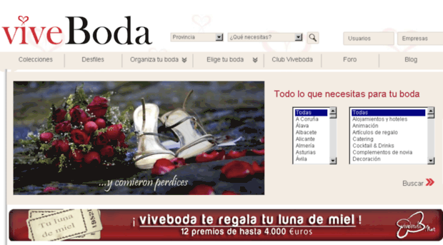 vivebodacantabria.net