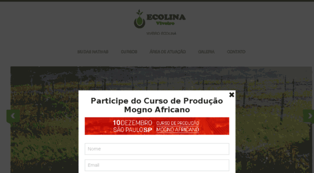 viveiroecolina.com.br