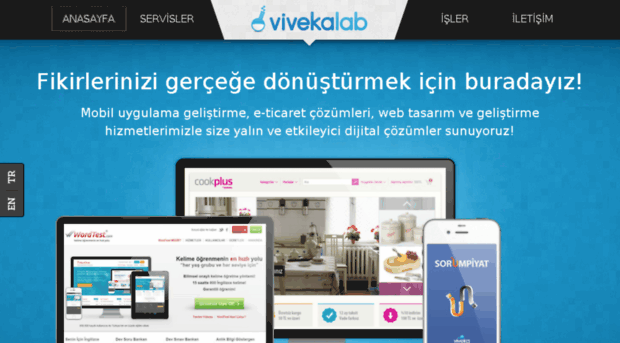 vivekalab.com