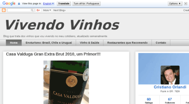 vivendovinhos.com