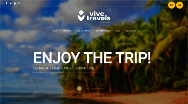 vivetravels.com