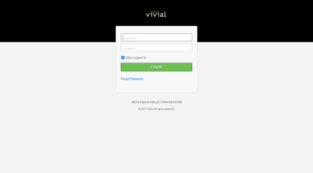 vivialreports.com