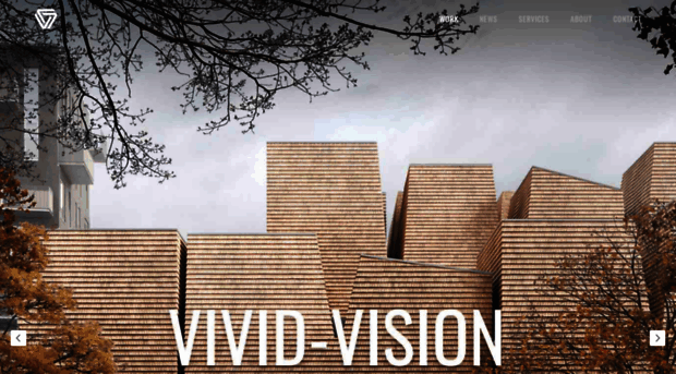 vivid-vision.net