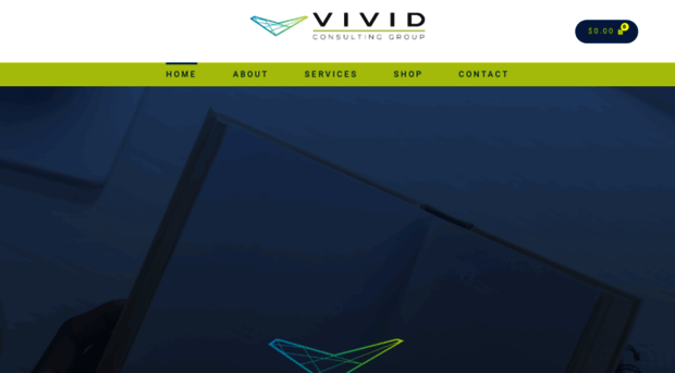 vividpros.com