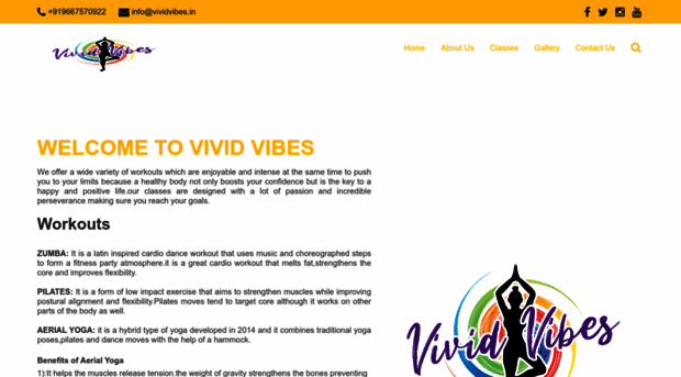 vividvibes.in