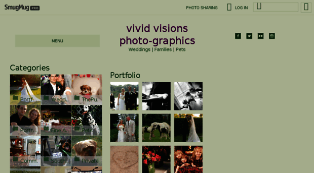 vividvisionsgallery.com