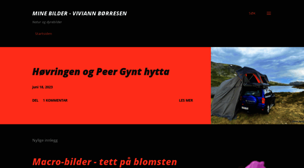 vivishagerom.blogspot.com