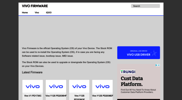 vivofirmware.com