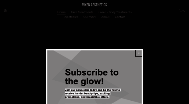 vixenaesthetics.com