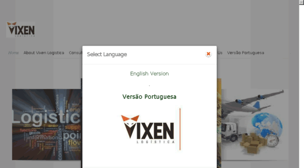 vixenlogistica.com