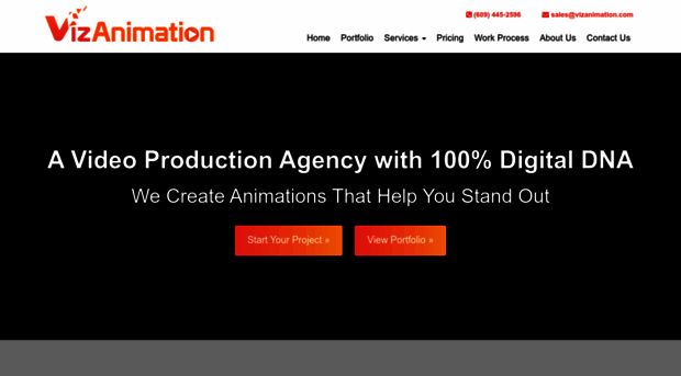 vizanimation.com