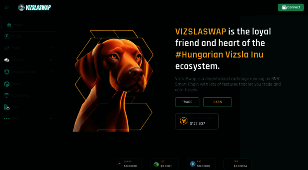 vizslaswap.com