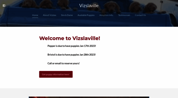 vizslaville.com