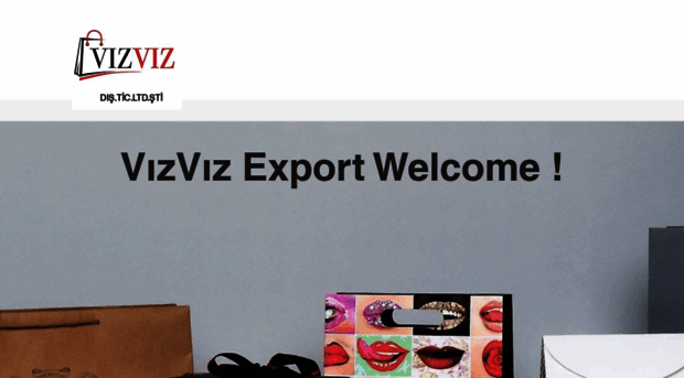 vizvizexport.com