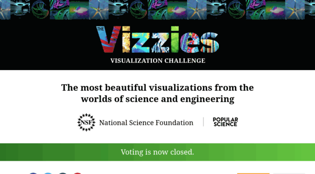 vizziesvote.skild.com