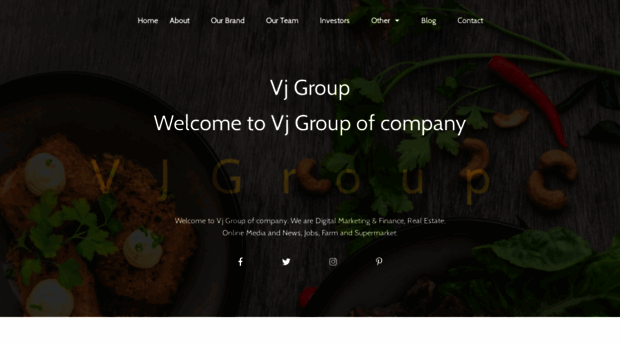 vjgroup.co.in