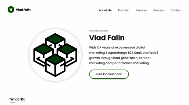 vladfalin.com