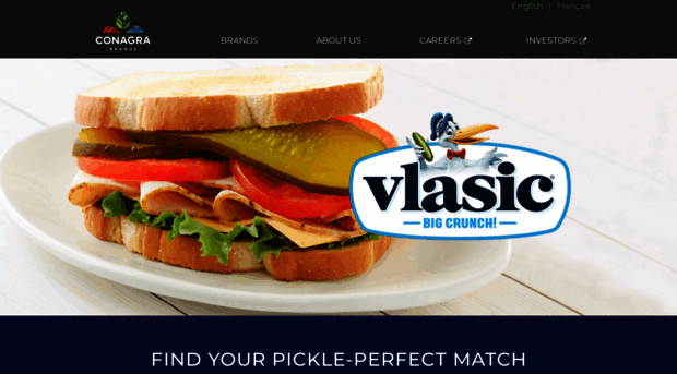 vlasic.ca