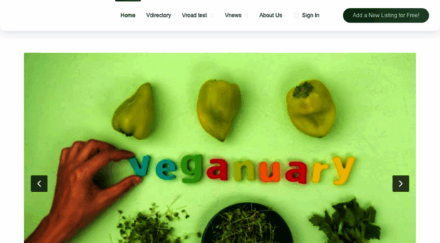 vlife-now.com