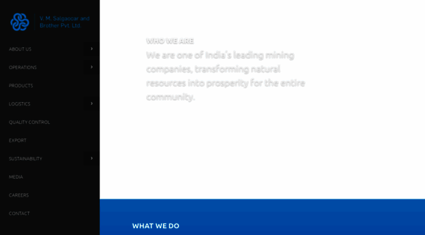 vmsbgoa.com