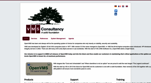 vmsconsultancy.com