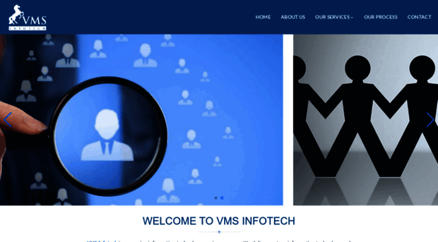 vmsinfotech.com