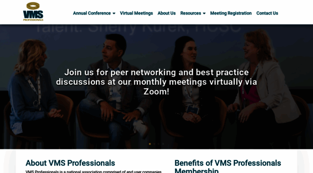 vmsprofessionals.com