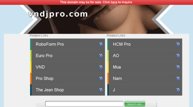 vndjpro.com