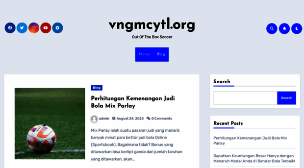 vngmcytl.org