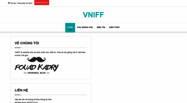 vniff.com