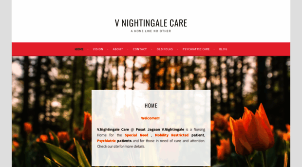 vnightingalecare.com