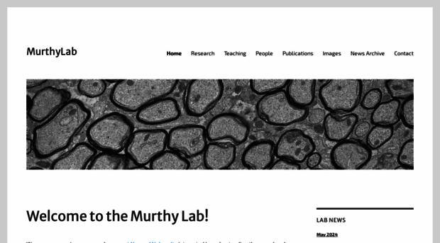 vnmurthylab.org