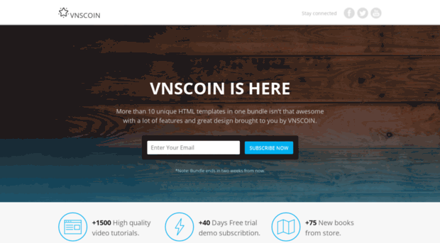 vnscoin.org