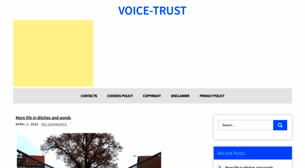 voice-trust.com