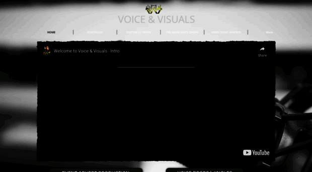 voiceandvisuals.com