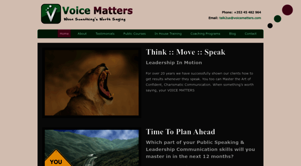 voicematters.com