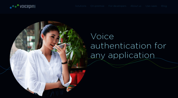 voicepin.com