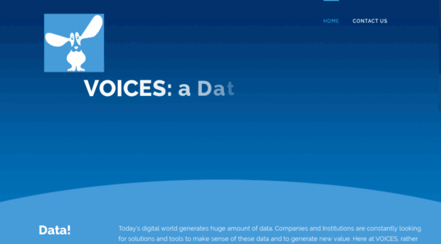 voices-int.com