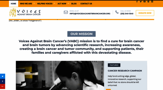 voicesagainstbraincancer.org