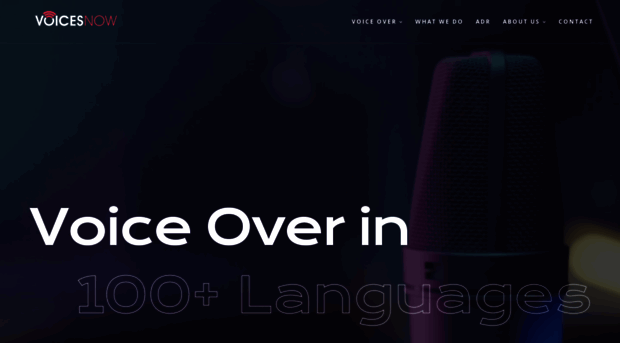 voicesnow.com