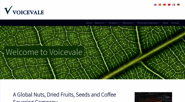 voicevale.com