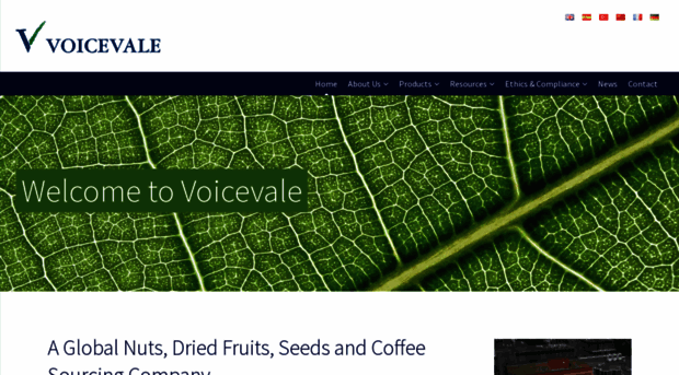 voicevale.com.tr