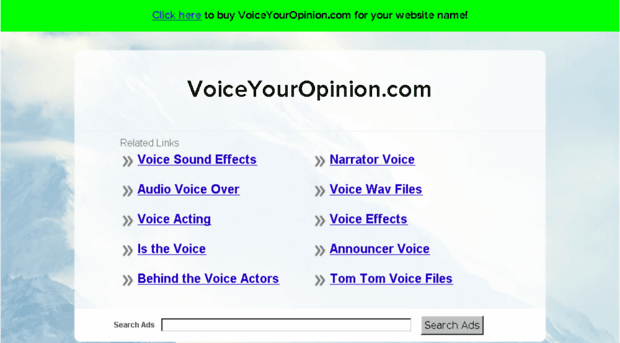 voiceyouropinion.com