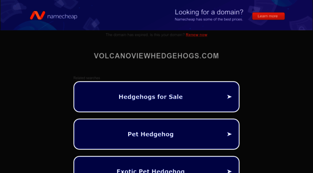 volcanoviewhedgehogs.com