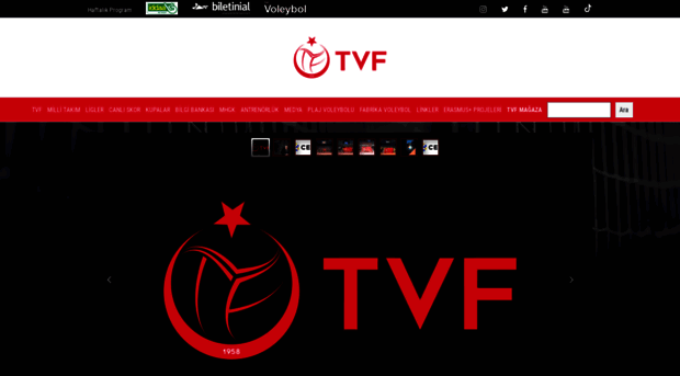 voleybol.tv